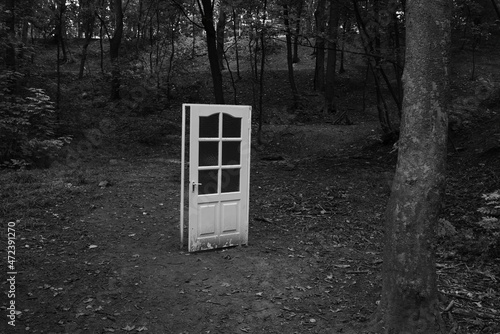 Door in the forest towards other dimension concept doorway