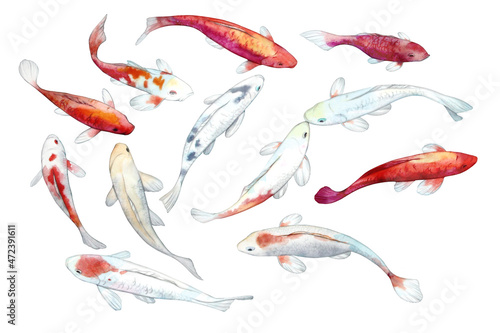 Watercolor template. Beautiful motifs for decoration design. Watercolor koi fish clipart. Artistic backdrop. Watercolor in japanese style on soft colorful background. Watercolor illustration.