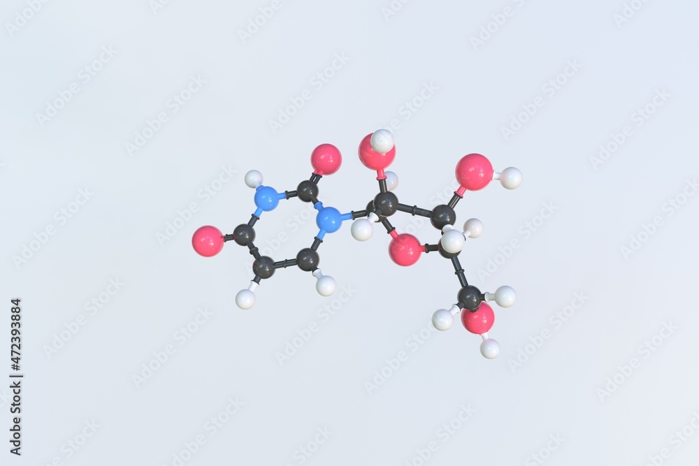 Molecule of uridine, isolated molecular model. 3D rendering Molecule of uridine, isolated molecular model. 3D rendering