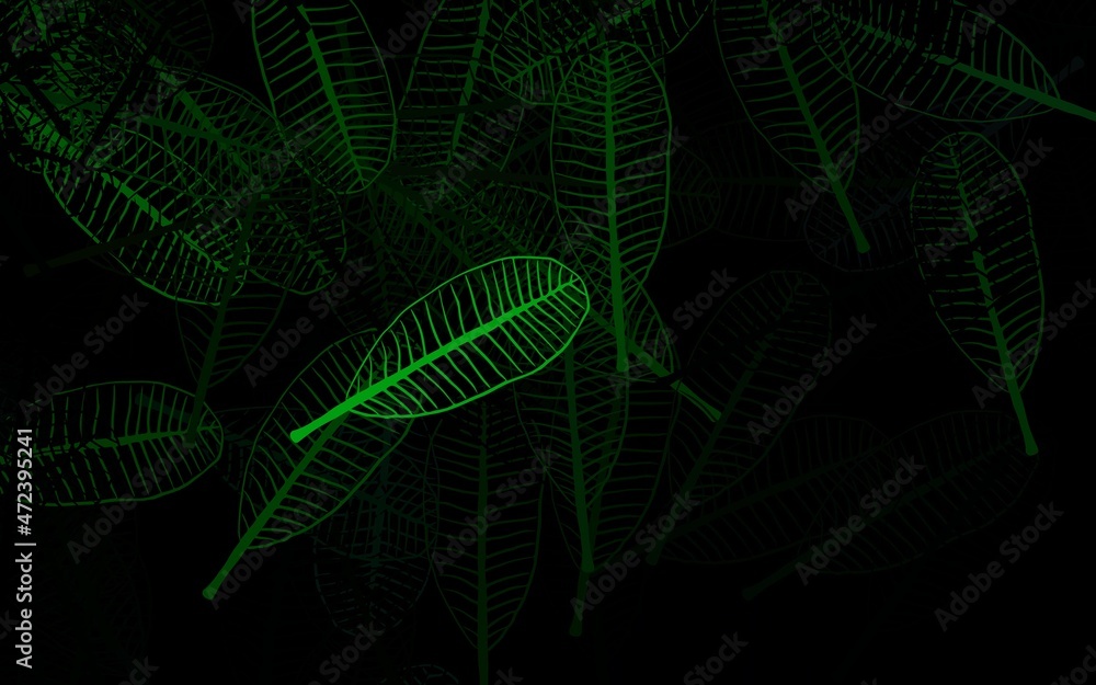 Obraz premium Dark Green vector abstract backdrop with leaves.