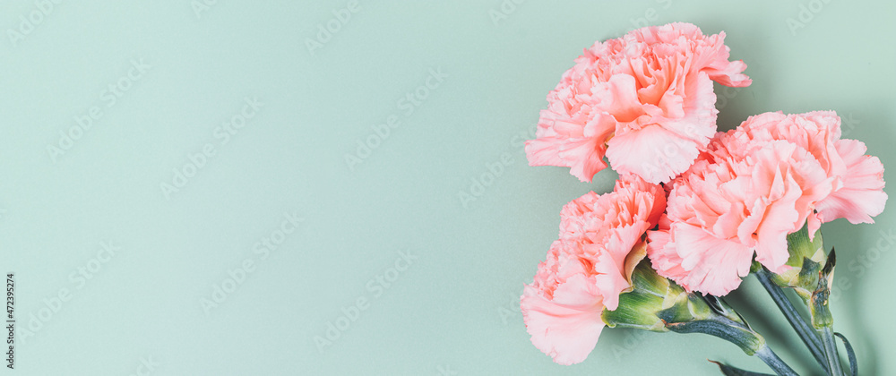 Bouquet lovely pink carnations on light green background Bouquet lovely pink carnations on light green background