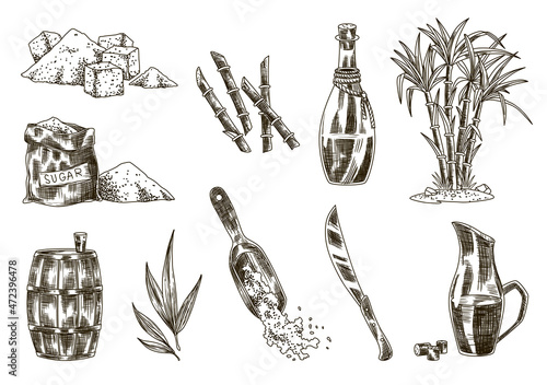 Cane sugar. Set of product from sugarcane plants. Engraving Hand drawn natural organic food and natural ingredients. Fresh squeezed sugarcane in glass, sugar in heap and cubes, bamboo and rum