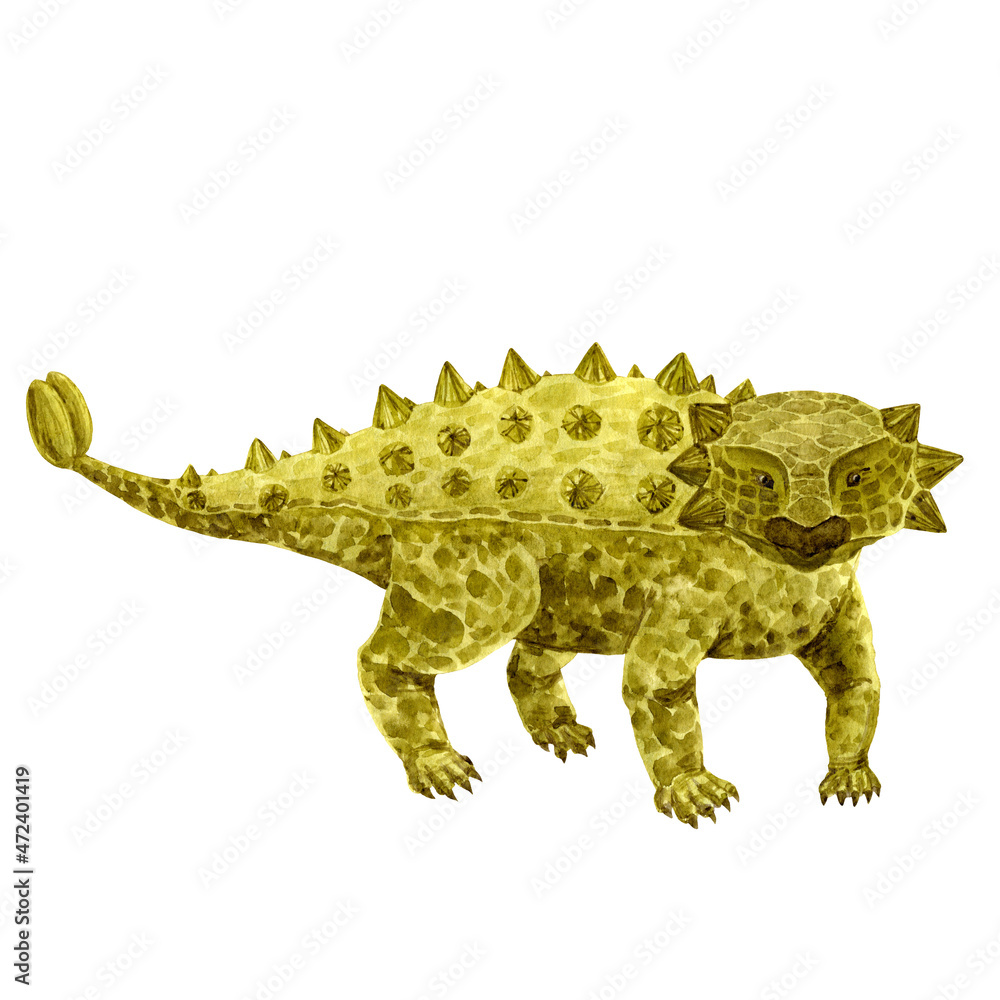 Fototapeta premium Ankylosaurus on white. Hand-drawn watercolor dinosaur. Design, children things, stickers, cards