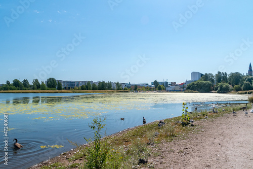 Summer view on Toolonlahti bay in Helsinki, Finland.