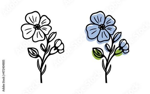 Blooming flax, single flower – hand drawn stylized vector illustration. Black and white and colored versions, isolated on white.
