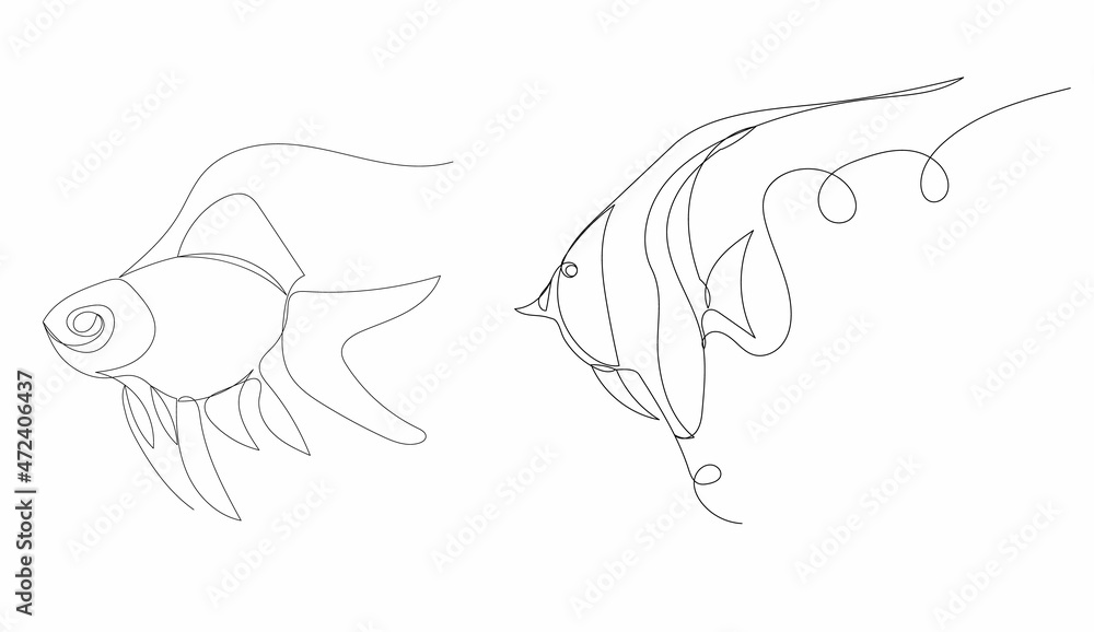 fish swim drawing by one continuous line, vector, isolated Stock Vector ...