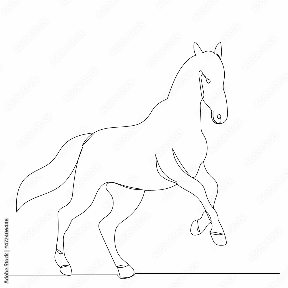 horse drawing by one continuous line, vector, isolated horse drawing by one continuous line, vector, isolated