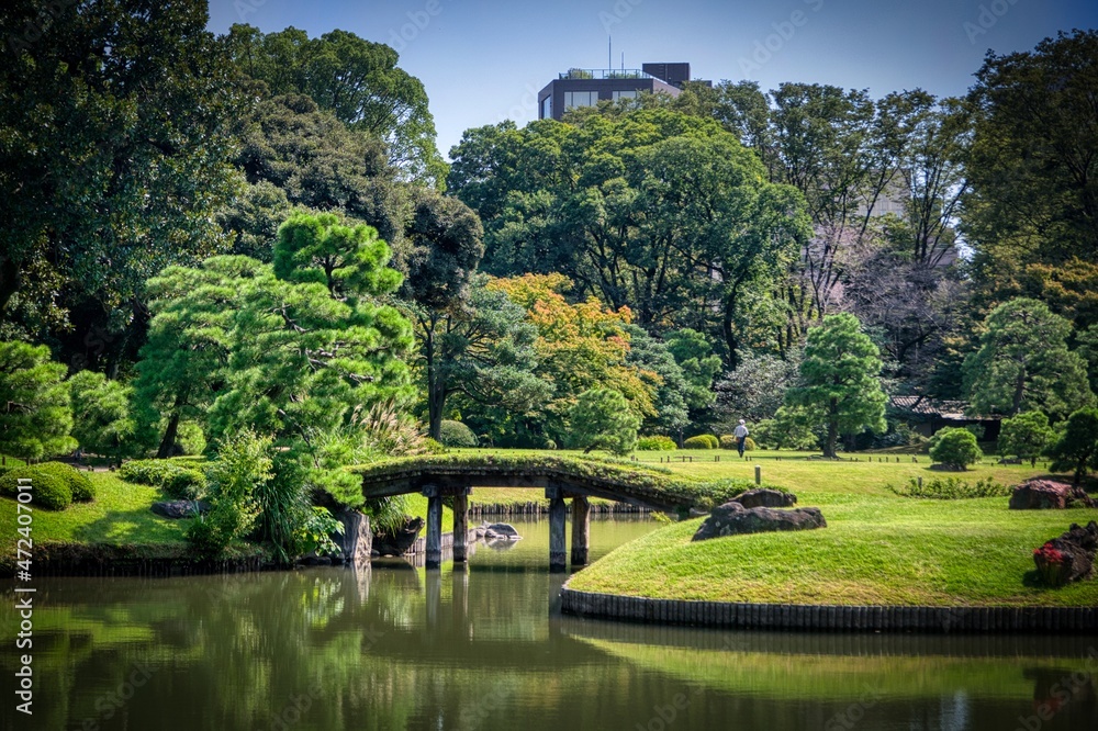Japanese garden in the park
