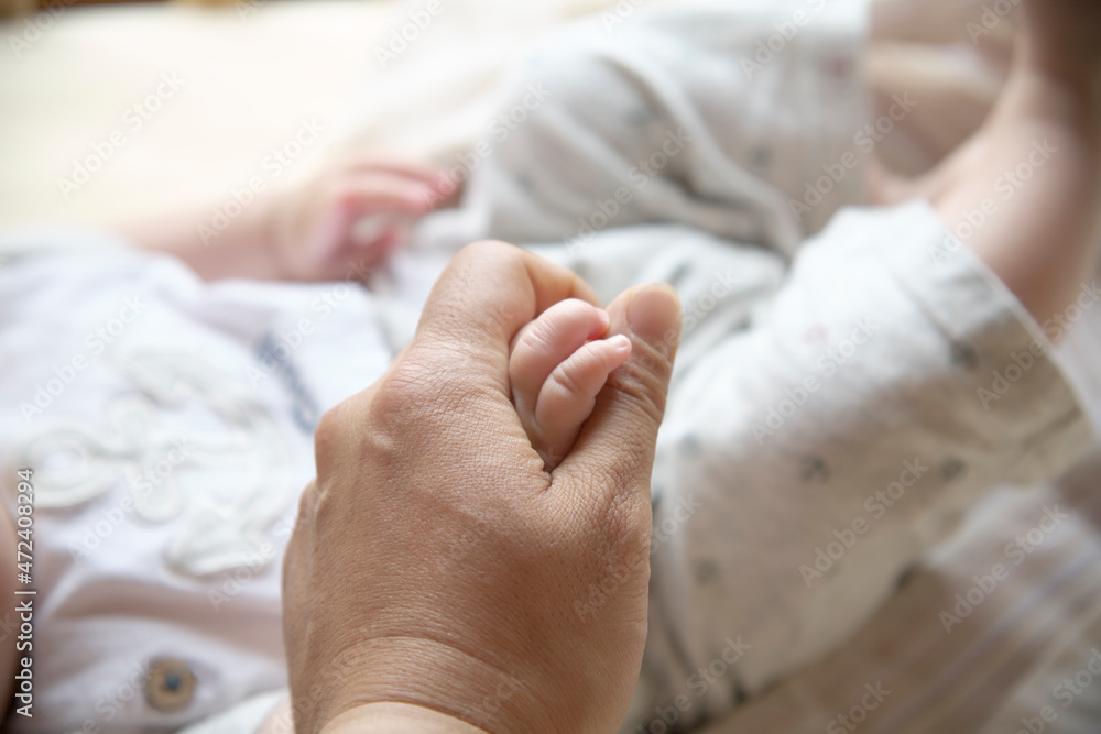 赤ちゃんの手を握る大人の手 Stock Photo Adobe Stock