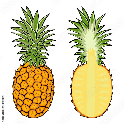 Pineapple isolated vector illustration. A set of whole and half pineapples. Juicy sweet tropical exotic fruits, healthy food