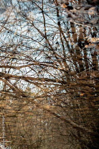 Wallpaper Mural Reflection of trees in autumn colors in the water Torontodigital.ca