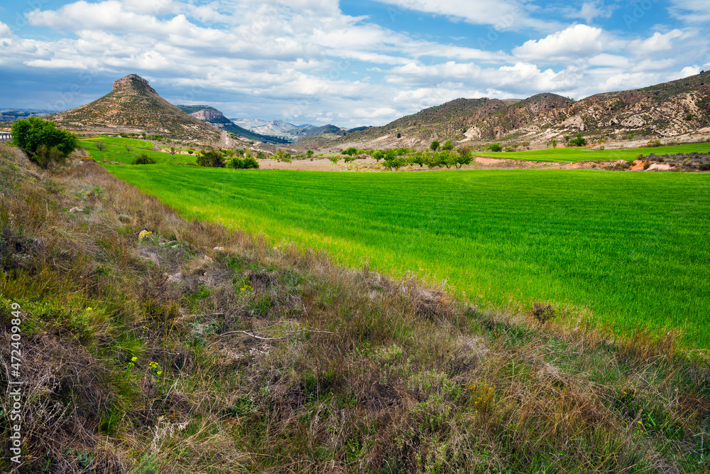 Naklejka premium Cuatro Mojones. Montes de Toledo. España. Europa.