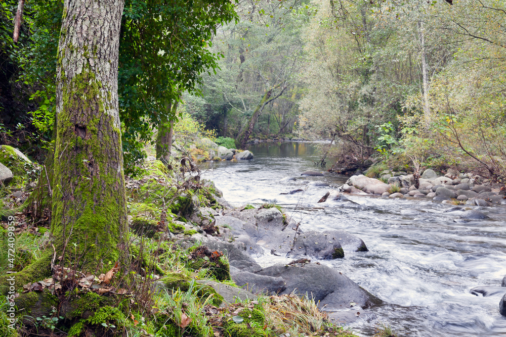 Obraz premium Rio Arenal. Avila. España. Europa.
