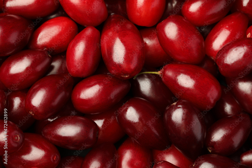 Fresh ripe dogwood berries as background, top view Fresh ripe dogwood berries as background, top view