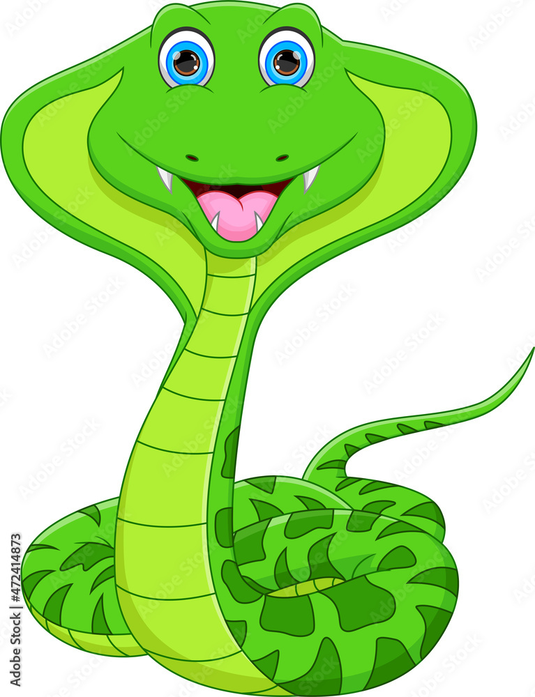 Fototapeta premium cartoon cute cobra snake on white background