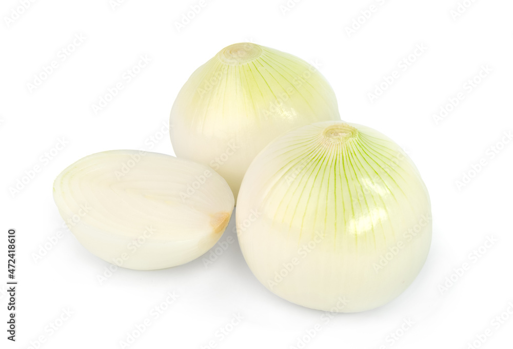 White onion isolated on white background White onion isolated on white background