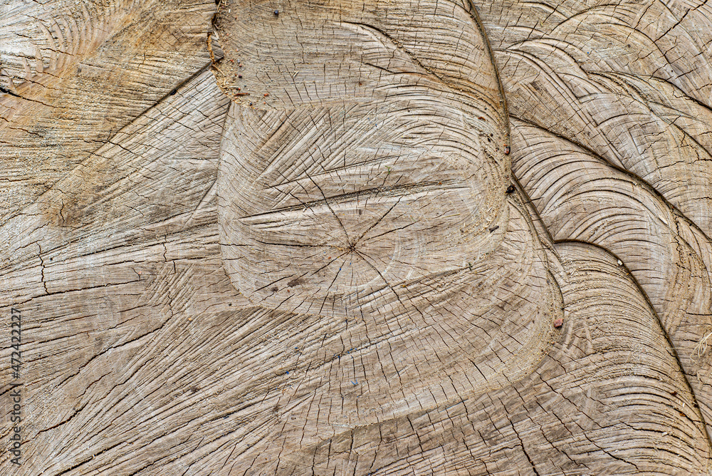 Fototapeta premium wood texture background