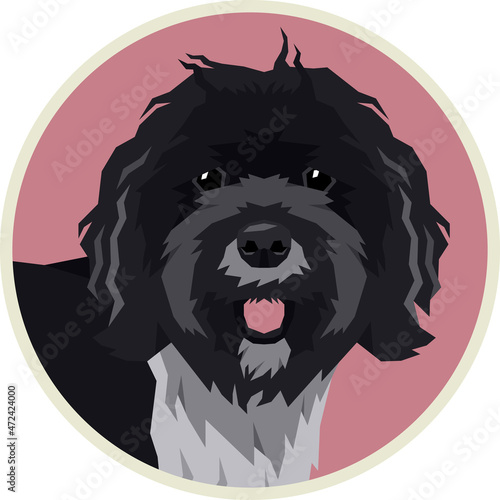 Dog Breeds Icons Flat Vector illustration Tibetan Terrier