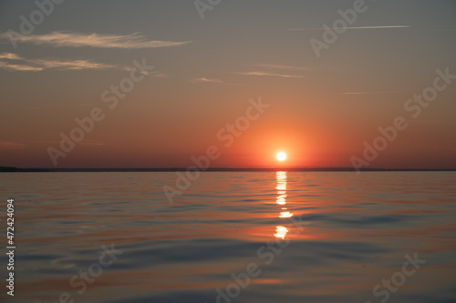 a swan enjoying the first sunrays of the day © Matthias