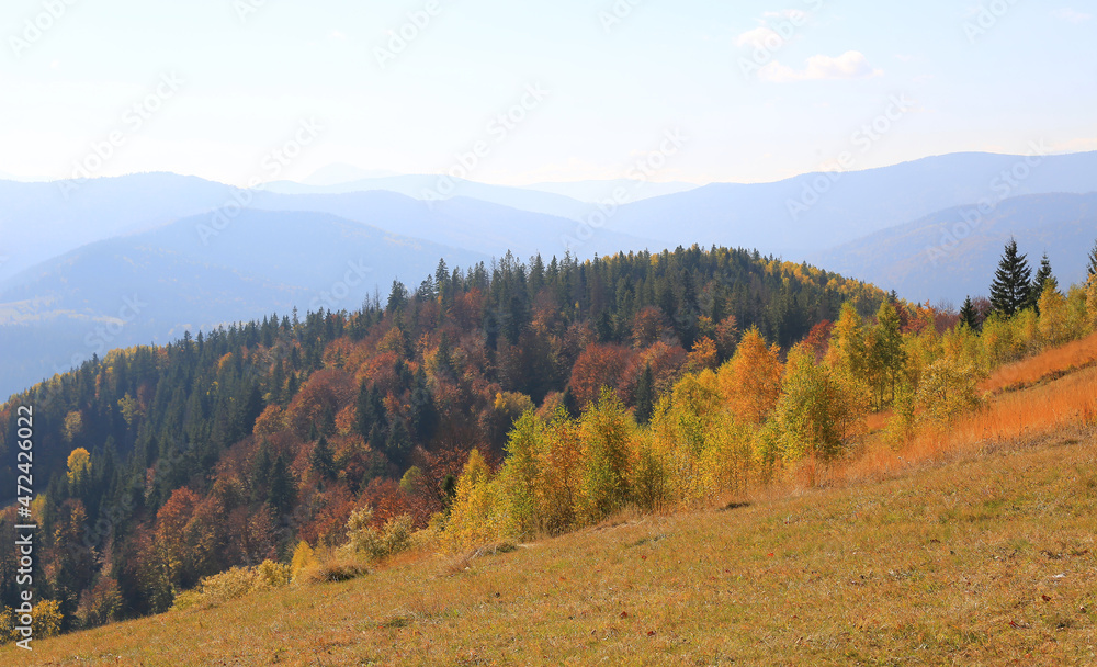 autumn scene in Carpathians