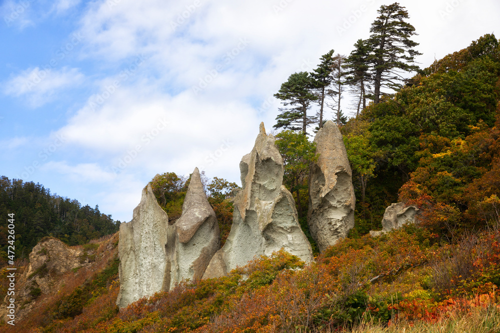 Rock among the autumn forest. Kunashir, South Kuriles