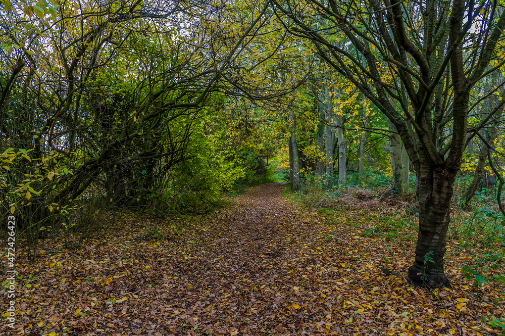 Obraz premium An Autumn view beside the Grand Union canal in Syston UK, england