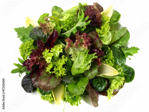 Mixed green Salad isolated on white Background