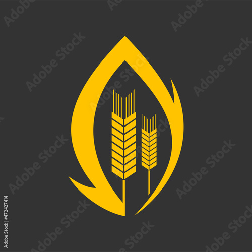 Cereal ear and spike vector icon. Wheat, rye, barley, rice or millet stalks with golden grains. Bread flour, food product, agriculture industry, bakery, mill or crop plant farm isolated symbol