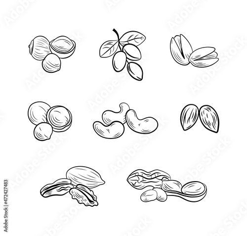 set of outline nut drawings, illustration templates, icons isolated.