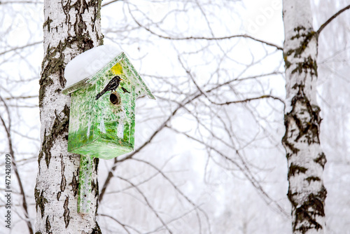Birdhouse on a winter tree