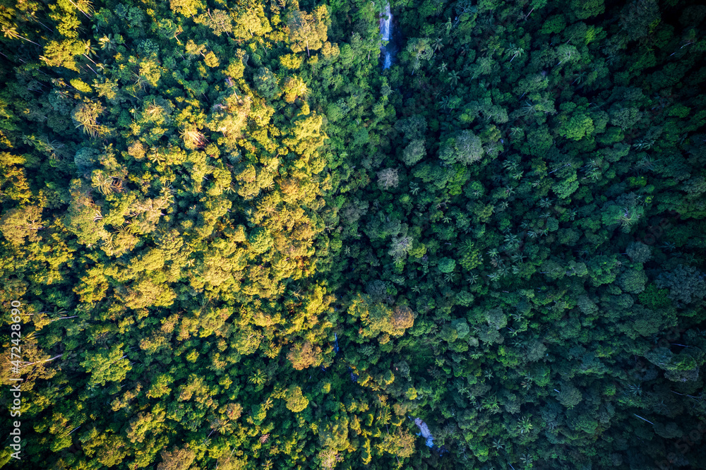 aerial view of waterfall in tropical jungle aerial view of waterfall in tropical jungle