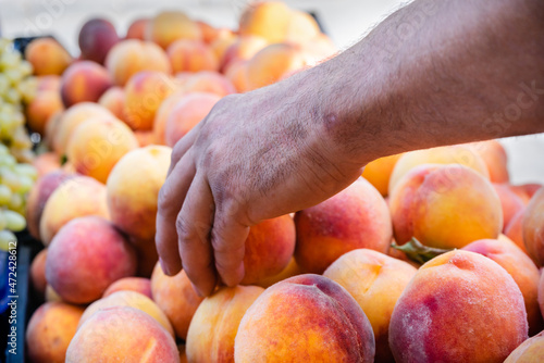 Male hand selects fresh peaches from a large number of juicy ripe peaches