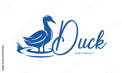 Duck Silhouette on the pond, lake with fresh nature vector illustration