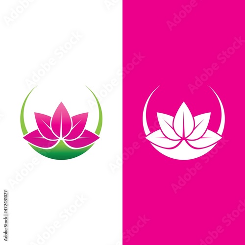 Beauty Vector lotus flowers design