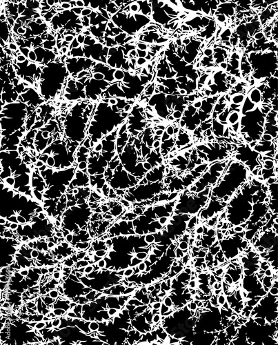 Branches of Blackthorn. Vector drawing