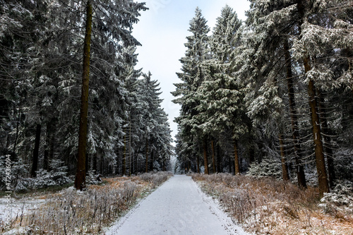 Wundersch  ne Winterlandschaft auf den H  hen des Th  ringer Waldes bei Oberhof - Th  ringen