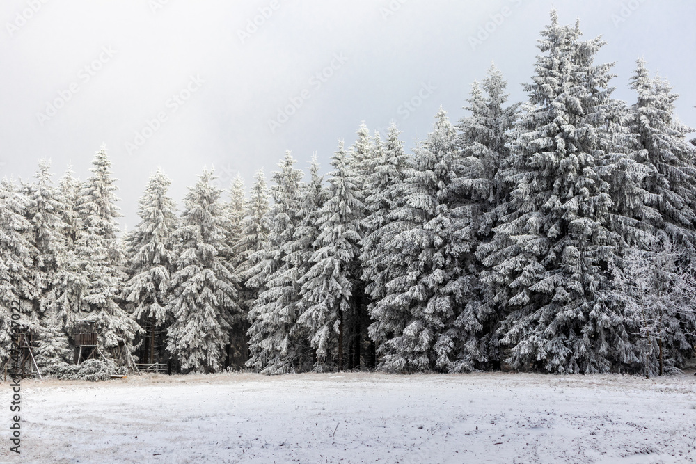 Wunderschöne Winterlandschaft auf den Höhen des Thüringer Waldes bei Oberhof - Thüringen