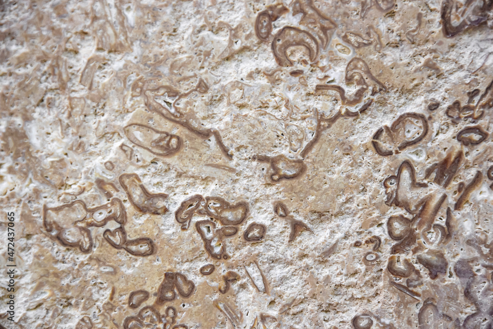 Horizontal brown polished stone texture with abstract pattern, unusual background for design. Copy space. Selective focus.