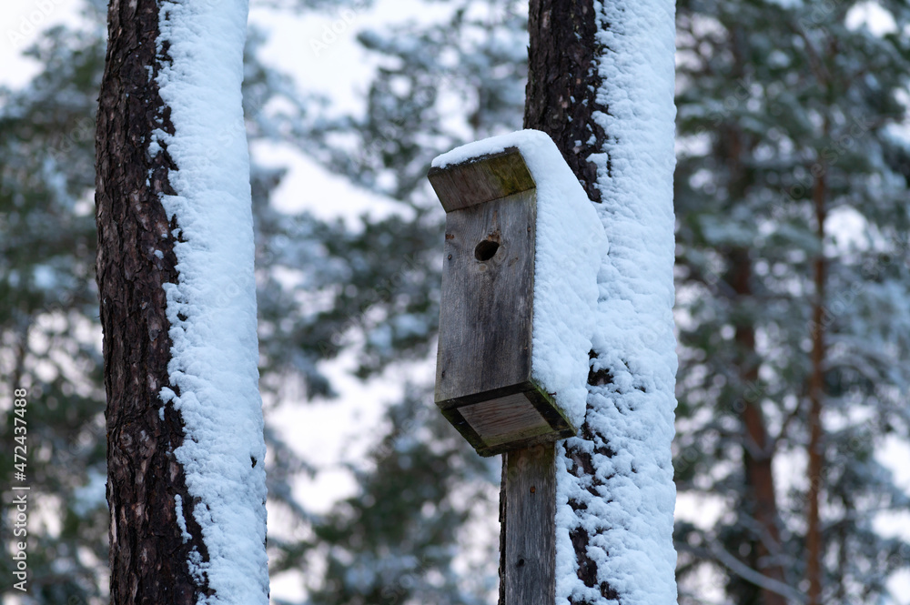 Wooden handmade birdhouse hanging on the tree at snowy winter day. Wooden handmade birdhouse hanging on the tree at snowy winter day.