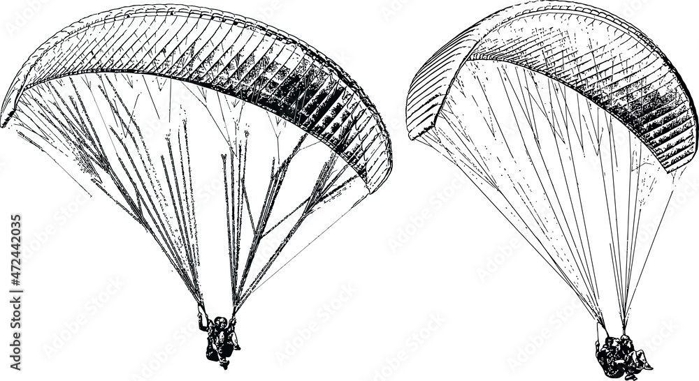 vector image of parachutists soaring on paragliders
