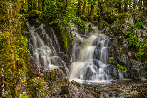 Cascade et chute d'eau dans les Vosges France