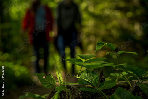 forest walking life style weekend time, soft focus foreground leaves and unfocused background people silhouette with motion