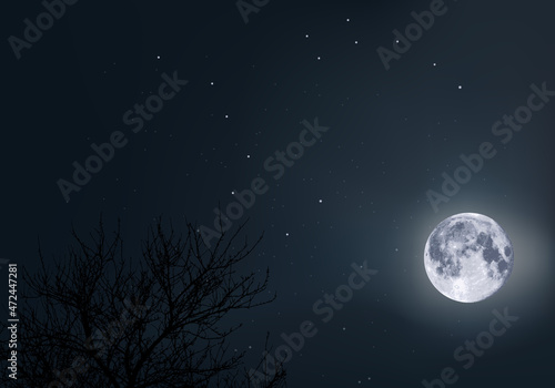 Un ciel au clair de lune, avec la grande ourse et l’étoile polaire comme repère, au milieu de l’espace et de l’univers.