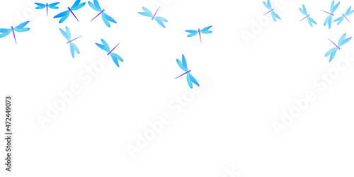 Tropical cyan blue dragonfly cartoon vector wallpaper. Summer ornate damselflies. Detailed dragonfly cartoon children illustration. Tender wings insects graphic design. Tropical beings