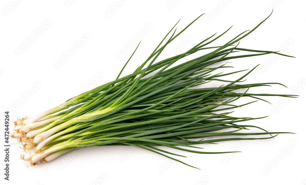 Fresh spring onion isolated on white background, Green onion on White Background With clipping path. Fresh spring onion isolated on white background, Green onion on White Background With clipping path.
