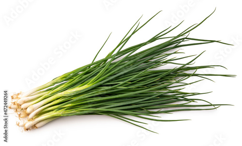 Fresh spring onion isolated on white background, Green onion on White Background With clipping path.