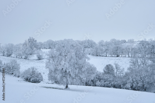 Frosty winter landscape after a snow storm photo