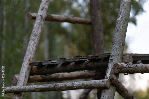 part of wooden hunting tower in Latvian forest
