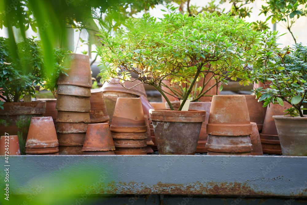 Stacks of old terracotta pots covered in dirt or soil after transplantation and cultivation of houseplants, azalea plants in winter garden or orangery. Used clay flowerpots in greenhouse or greenery Stacks of old terracotta pots covered in dirt or soil after transplantation and cultivation of houseplants, azalea plants in winter garden or orangery. Used clay flowerpots in greenhouse or greenery