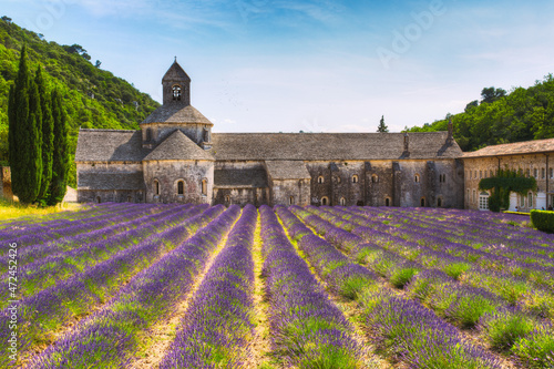 Ancient monastery Abbaye Notre-Dame de Senanque Notre-Dame de Senanque abbey in Vaucluse, France photo